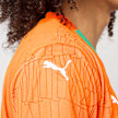 PUMA Fédération Ivoirienne de Football Home Jersey Replica orange 99333 5
