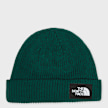 The North Face Salty Lined Beanie Grün 103228 1