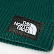 The North Face Salty Lined Beanie Grün 103228 3