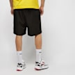 Lacoste Men Shorts zwart 166 3