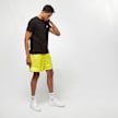 Alpha Industries Backprint T schwarz 684 4