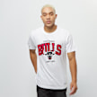 Mitchell & Ness NBA Chicago Bulls Team Arch weiß 733 1