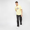 Dickies Icon Logo Tee pale banana Undefined Color 3552 4