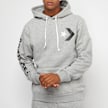 Karl Kani Small Signature OS Heavy Sweat Hoodie Grün 19164 5