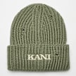 Karl Kani Small Retro Embro DamageBeanie grün 26793 1