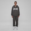 Low Lights Studios Boxer Zip-Hoodie Grau 24679 4