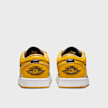 Jordan Air Jordan 1 Low multicolorido 25510 5