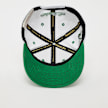 Mitchell & Ness Tail Sweep Pro Snapback NBA Boston Celtics bianco 28620 4