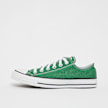 Converse Chuck  Taylor All Star zelena 28683 1