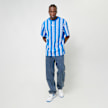 Karl Kani Small Signature Striped Tee blauw 31821 4