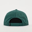 Jordan Jumpman Pro Snapback Grün 29871 2