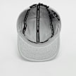 Jordan Jordan Fly Cap US FB Jumpman grijs 29886 3