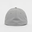 Flexfit Delta grau 47663 3