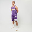 Mitchell & Ness NBA Gameday Mesh 7" Shorts Vintage Logo La Lakers morado 40240 6