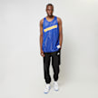 Mitchell & Ness NBA Reversible Mesh Tank Vintage Logo Golden Warriors blau 40245 8