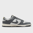 Nike Dunk Low Next Nature grau 40724 2