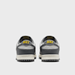 Nike Dunk Low Next Nature grijs 40724 5