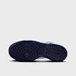 Nike   Dunk Low (GS) blauw 40733 3