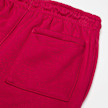 Jordan Junior Michael Jordan Brooklyn Fleece Essential Pant Rot 42871 4