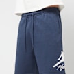 Jordan Essentials Fleece Shorts blauw 46880 3