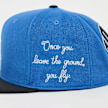 Jordan Brooklyn Pro azul 48397 4