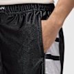 Jordan Brooklyn Cat Scratch Shorts noir 48702 4