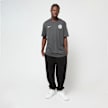 Nike   PSG Paname Tee siva 48787 6