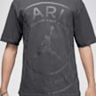 Jordan Paris Saint-Germain T-Shirt gris 92217 4