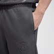Jordan Paris Saint-Germain Fleece Pants grau 92218 4