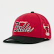 Mitchell & Ness Team Script 2.0 Pro Snapback HWC NBA Chicago Bulls rood 92330 1