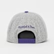 Mitchell & Ness Tailsweeps Pro Snapback NBA Los Angeles Lakers grijs 92336 2