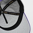 Mitchell & Ness Tailsweeps Pro Snapback NBA Los Angeles Lakers grijs 92336 3