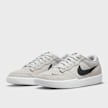 Nike SB SB Force 58 cinzento 94691 3