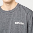 Dickies Payson 2fer Tee grigio 94939 3