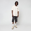 Dickies Buchtell Short Sleeve Tee beige 94936 5