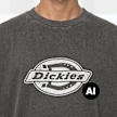 Dickies Plainville Shortsleeve Tee grau 94940 3