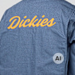 Dickies Wellsville Painter Jacket bleu 94964 4