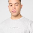 HALO Graphic Boxy T-Shirt gris 96248 3