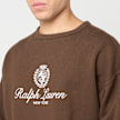 Polo Ralph Lauren Knit-Sweatshirt smeđa 96332 3