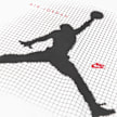 Jordan Jumpman Grid Blur bianco 97455 3