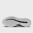 Nike   Pegasus Premium RR argento 97946 5