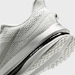 Nike   Pegasus Premium RR argento 97946 8