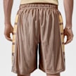 Jordan Brooklyn Cat Scratch Shorts multicolore 98165 2