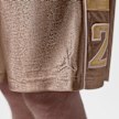 Jordan Brooklyn Cat Scratch Shorts multicolor 98165 6