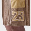 Jordan Brooklyn Cat Scratch Shorts multicolore 98165 7