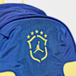 Jordan P6 Element Backpack Brazil blau 98638 4