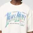 Karl Kani Sport Gradient Boxy T-Shirt beige 98825 3
