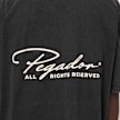 Pegador Pike Oversized Tee schwarz 99027 3