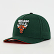 Mitchell & Ness Pro Crown NBA Chicago Bulls verde 99059 1
