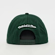 Mitchell & Ness Pro Crown NBA Chicago Bulls zielony 99059 2
